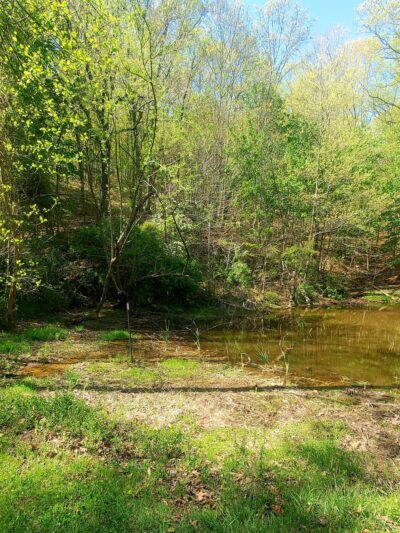Letart Nature Park - Letart, WV