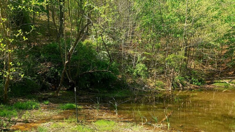 Letart Nature Park - Letart, WV