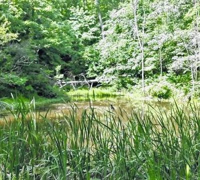 Letart Nature Park - Letart, WV
