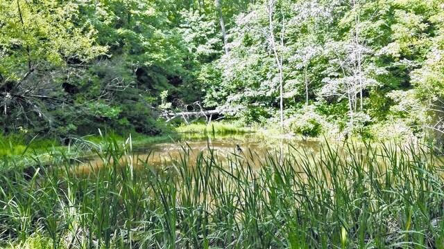 Letart Nature Park - Letart, WV