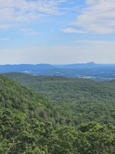 Mount Toby State Forest - Leverett, MA