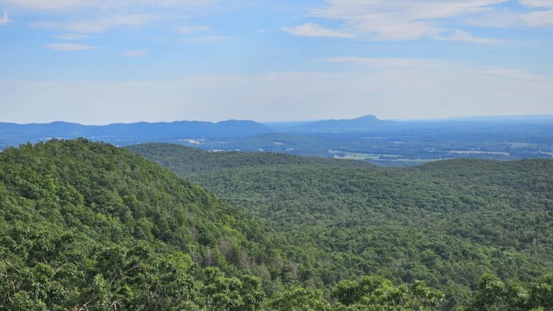 Mount Toby State Forest - Leverett, MA
