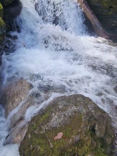 Mount Toby State Forest - Leverett, MA