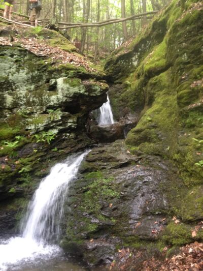 Mount Toby State Forest - Leverett, MA