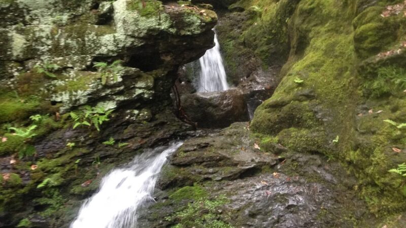 Mount Toby State Forest - Leverett, MA