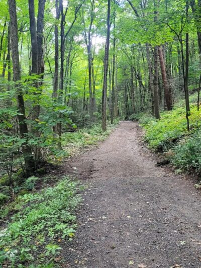 Mount Toby State Forest - Leverett, MA