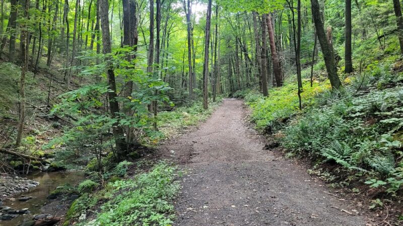 Mount Toby State Forest - Leverett, MA