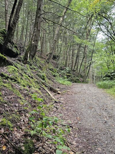Rattlesnake Gutter Conservation Area Trail Head - Leverett, MA