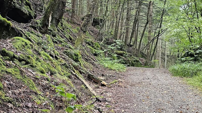 Rattlesnake Gutter Conservation Area Trail Head - Leverett, MA