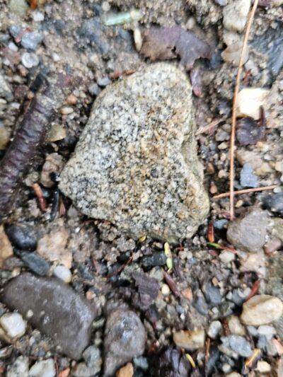 Rattlesnake Gutter Conservation Area Trail Head - Leverett, MA