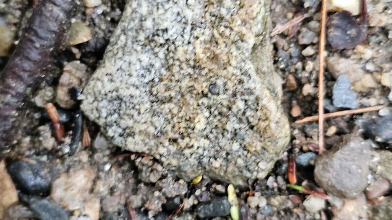 Rattlesnake Gutter Conservation Area Trail Head - Leverett, MA