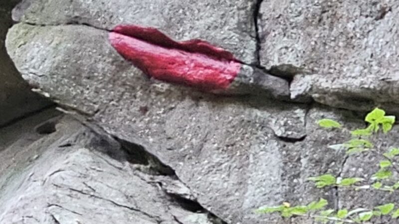 Rattlesnake Gutter Conservation Area Trail Head - Leverett, MA