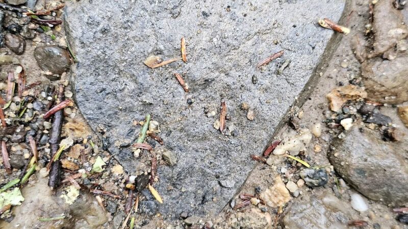 Rattlesnake Gutter Conservation Area Trail Head - Leverett, MA