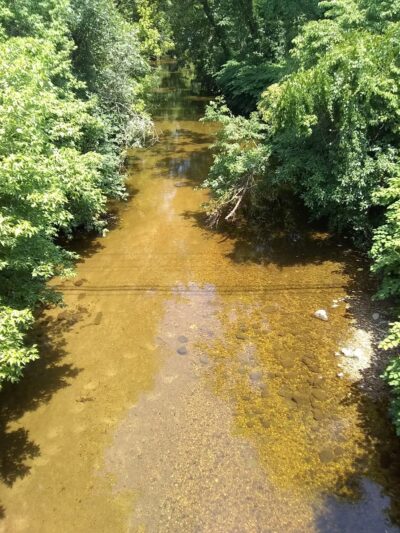 Black Ditch Creek - Levittown, PA