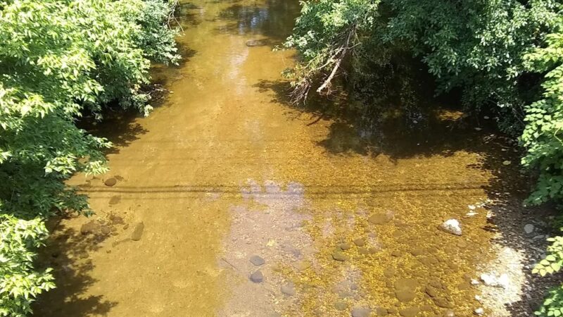 Black Ditch Creek - Levittown, PA