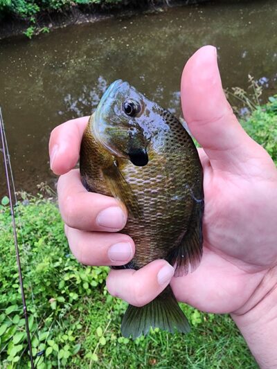 Delaware Canal State Park - Levittown, PA