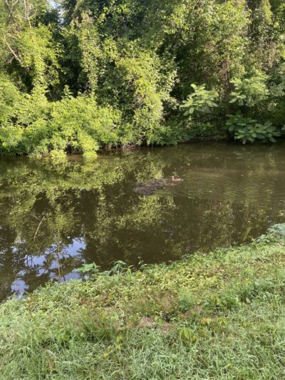 Delaware Canal State Park - Levittown, PA