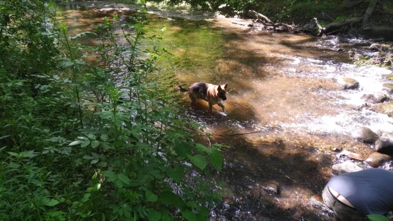 Eirbear Park - Levittown, PA