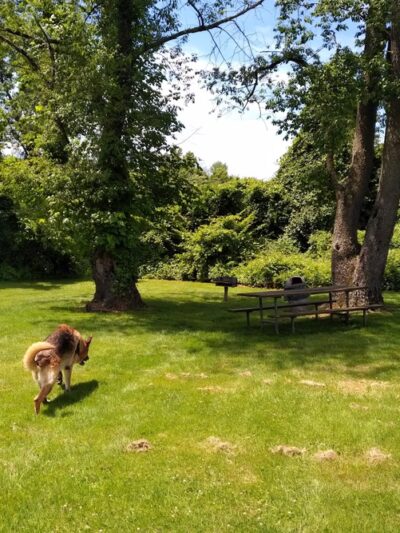 Eirbear Park - Levittown, PA