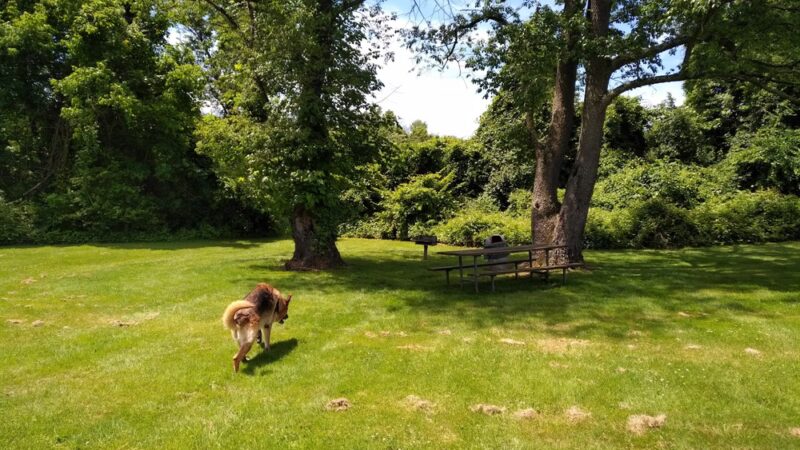 Eirbear Park - Levittown, PA