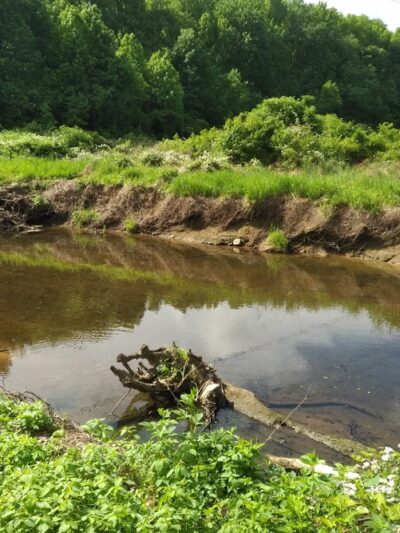 Eirbear Park - Levittown, PA