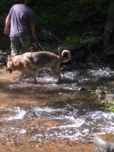 Eirbear Park - Levittown, PA