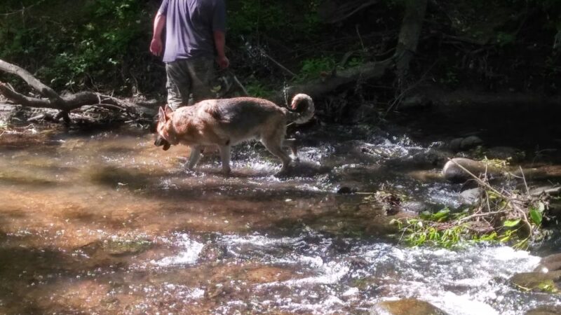 Eirbear Park - Levittown, PA