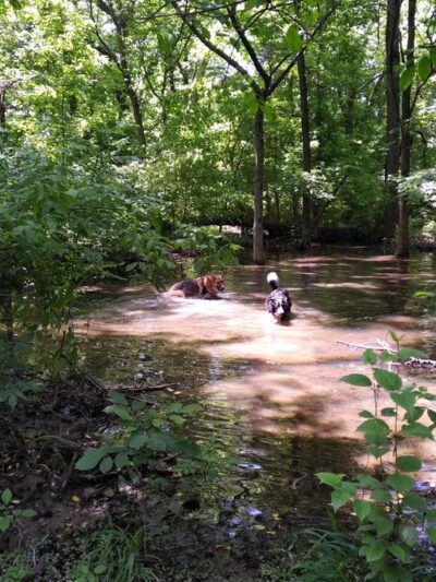 Eirbear Park - Levittown, PA