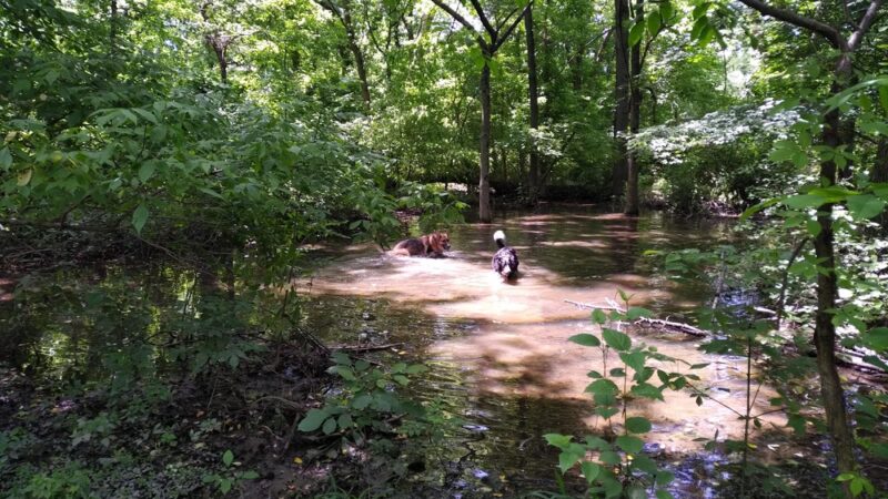 Eirbear Park - Levittown, PA