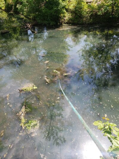 Elderberry Park - Levittown, PA