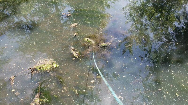 Elderberry Park - Levittown, PA