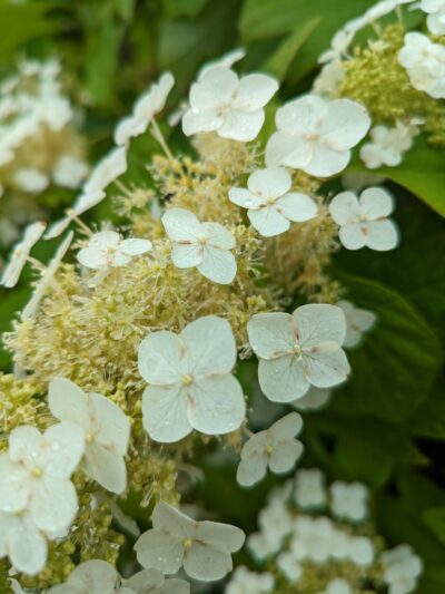 Fallsington Commemorative Park - Levittown, PA