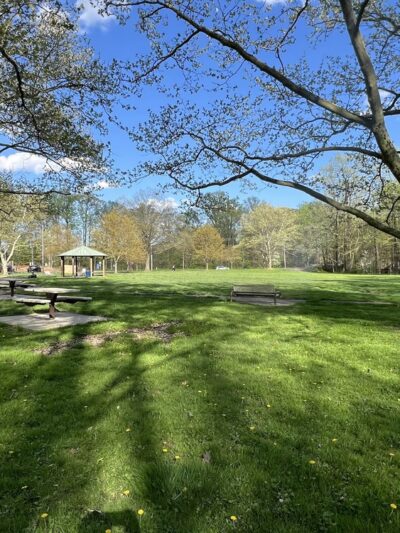 Forsythia Crossing Park - Levittown, PA