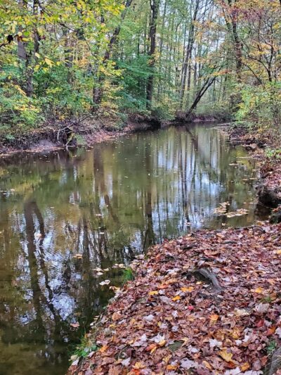 Forsythia Crossing Park - Levittown, PA