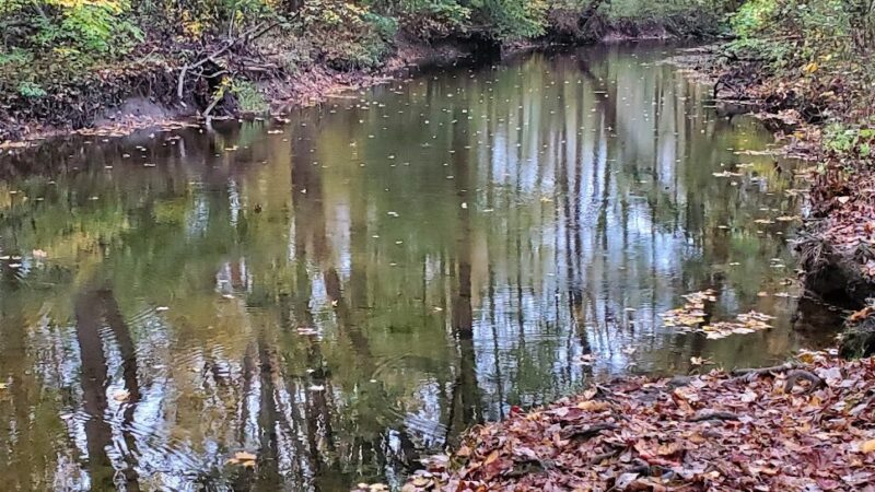 Forsythia Crossing Park - Levittown, PA