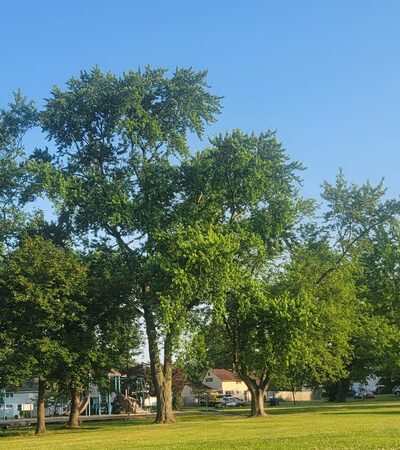 Indian Creek Park - Levittown, PA