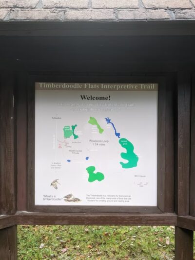 Timberdoodle Flats Interpretive Trail - Lewis Run, PA