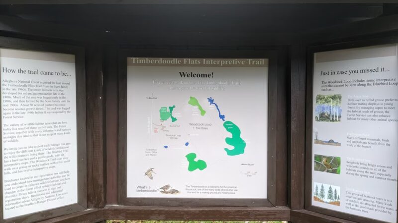 Timberdoodle Flats Interpretive Trail - Lewis Run, PA
