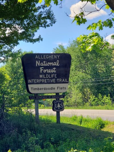 Timberdoodle Flats Interpretive Trail - Lewis Run, PA