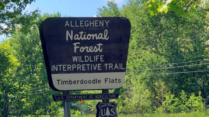 Timberdoodle Flats Interpretive Trail - Lewis Run, PA