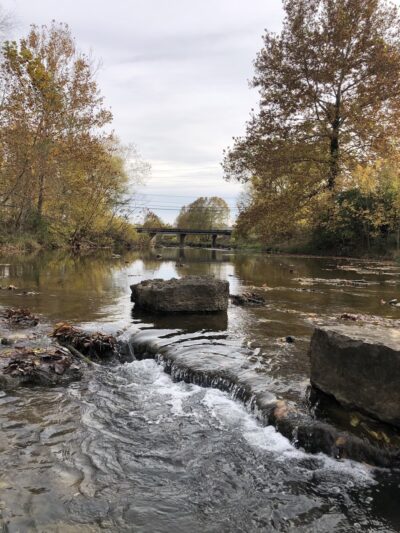 Rock Creek Park - Lewisburg, TN