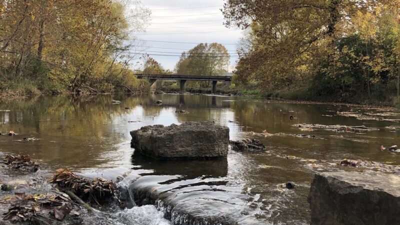 Rock Creek Park - Lewisburg, TN
