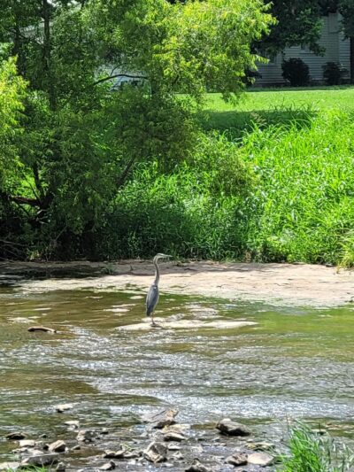 Rock Creek Park - Lewisburg, TN