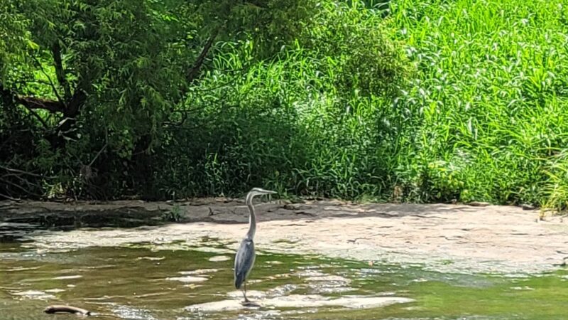 Rock Creek Park - Lewisburg, TN