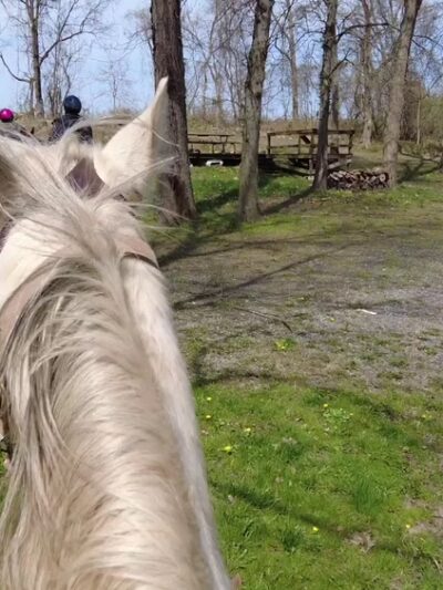Nittany Mountain Trail Rides - Lewistown, PA