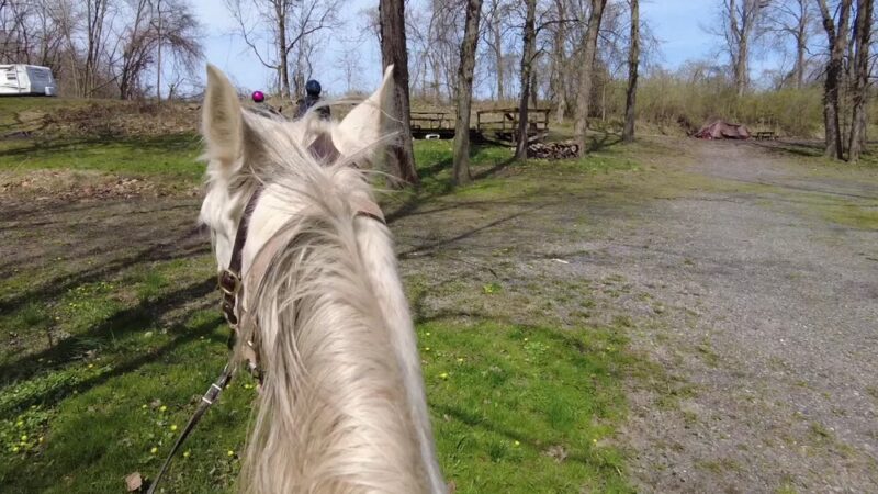 Nittany Mountain Trail Rides - Lewistown, PA