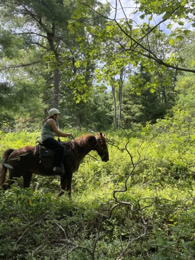 Nittany Mountain Trail Rides - Lewistown, PA