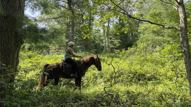 Nittany Mountain Trail Rides - Lewistown, PA