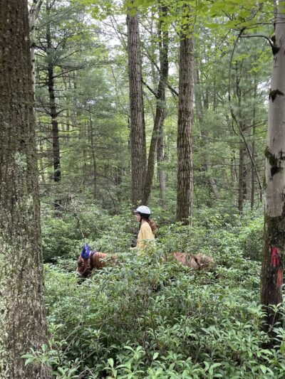 Nittany Mountain Trail Rides - Lewistown, PA