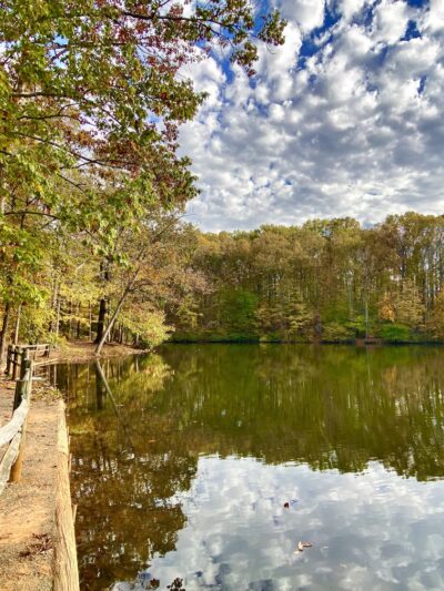 Finch Park - Lexington, NC